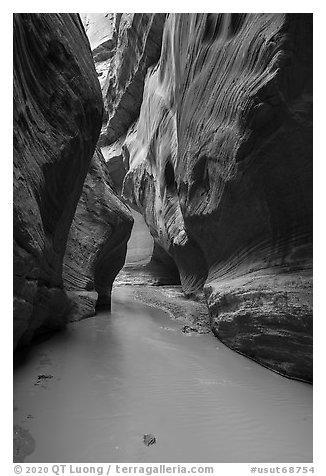 Muddy Paria River in canyon. Vermilion Cliffs National Monument, Arizona, USA (black and white)