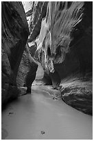 Muddy Paria River in canyon. Vermilion Cliffs National Monument, Arizona, USA ( black and white)