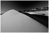 Sand dune at sunset, Coral Pink Sand Dunes State Park. Utah, USA ( black and white)