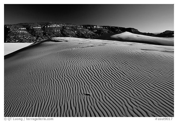 Rippled sand dune, late afternoon, Coral Pink Sand Dunes State Park. Utah, USA (black and white)