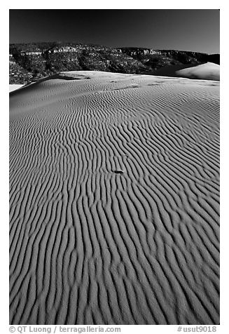 Ripples on sand dunes, late afternoon, Coral Pink Sand Dunes State Park. Utah, USA (black and white)