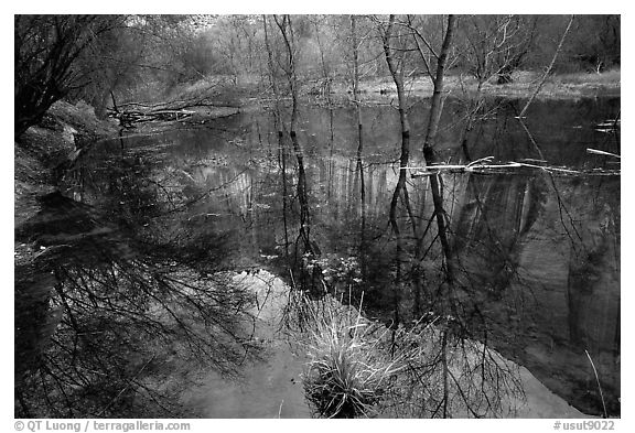 Black and White Picture/Photo: Canyon and tree reflections, Calf Creek ...