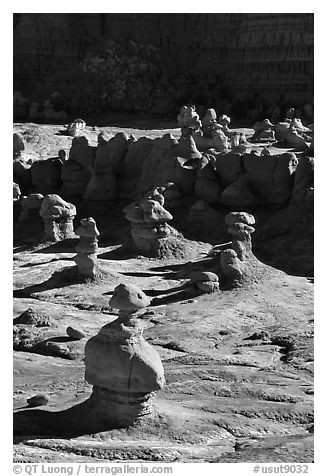 Goblins, early morning, Goblin Valley State Park. Utah, USA (black and white)