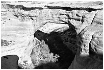 Sipapu Bridge, Natural Bridges National Monument. Utah, USA (black and white)