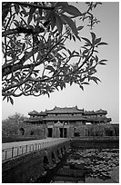 Plumeria trees, Ngo Mon Gate (Moon Gate), Hue citadel. Hue, Vietnam (black and white)