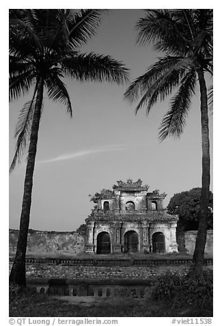 Palm trees and gate, Hue citadel. Hue, Vietnam (black and white)