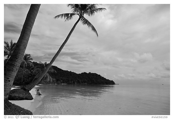 Palm-fringed beach, Bai Sau. Phu Quoc Island, Vietnam (black and white)