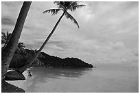 Palm-fringed beach, Bai Sau. Phu Quoc Island, Vietnam (black and white)