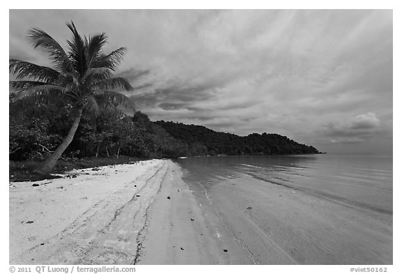Palm-fringed tropical sandy beach, Bai Sau. Phu Quoc Island, Vietnam (black and white)