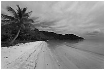 Palm-fringed tropical sandy beach, Bai Sau. Phu Quoc Island, Vietnam ( black and white)