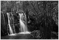 Waterfall flowing in tropical forest. Phu Quoc Island, Vietnam (black and white)