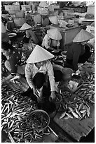 Women selling fish at market, Duong Dong. Phu Quoc Island, Vietnam (black and white)
