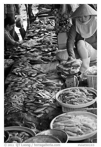 Fish for sale at public market, Duong Dong. Phu Quoc Island, Vietnam (black and white)