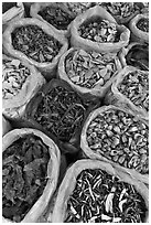 Close-up of dried foods in bags, Duong Dong. Phu Quoc Island, Vietnam ( black and white)