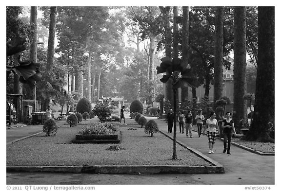 People strolling in alley below tall trees, Cong Vien Van Hoa Park. Ho Chi Minh City, Vietnam (black and white)