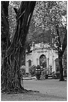 Banyan tree and gate, Cong Vien Van Hoa Park. Ho Chi Minh City, Vietnam ( black and white)