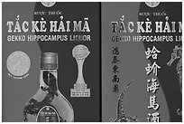 Close-up of Gekko Hippocampus liquor used in traditional medicine. Cholon, Ho Chi Minh City, Vietnam ( black and white)