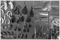 Animal parts used in traditional medicine. Cholon, Ho Chi Minh City, Vietnam ( black and white)