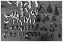 Close-up of animal parts for sale in traditional medicine shop. Cholon, Ho Chi Minh City, Vietnam ( black and white)