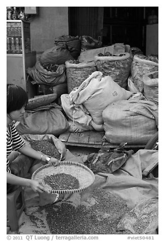 Woman preparing traditional medicine ingredients. Cholon, Ho Chi Minh City, Vietnam