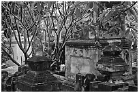 Graveyard, Giac Lam Pagoda, Tan Binh District. Ho Chi Minh City, Vietnam ( black and white)