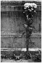 Incense and flowers next to tomb. Ben Tre, Vietnam ( black and white)