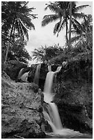 Waterfall flowing under palm trees, Fairy Stream. Mui Ne, Vietnam (black and white)
