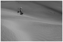 Woman with conical hat and yoke baskets pauses on sand dunes. Mui Ne, Vietnam ( black and white)