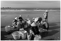 Women on beach sorting fresh catch. Mui Ne, Vietnam ( black and white)