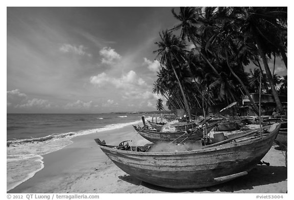 Beach with palm trees and fishing boats. Mui Ne, Vietnam (black and white)