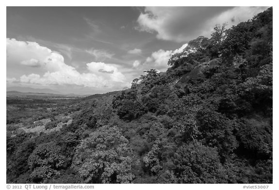 Hillside covered in verdant vegetation. Ta Cu Mountain, Vietnam (black and white)
