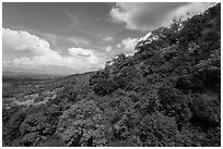 Hillside covered in verdant vegetation. Ta Cu Mountain, Vietnam (black and white)