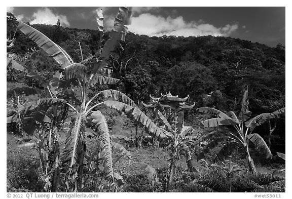 Banana trees, hill, and temple gate. Ta Cu Mountain, Vietnam (black and white)