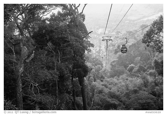Cable car and tropical forest. Ta Cu Mountain, Vietnam (black and white)