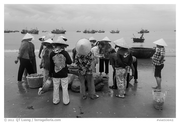 Women gathered on beach around fresh catch. Mui Ne, Vietnam (black and white)
