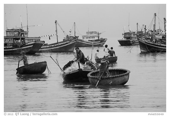 Men use round woven boats to disembark from fishing boats. Mui Ne, Vietnam (black and white)