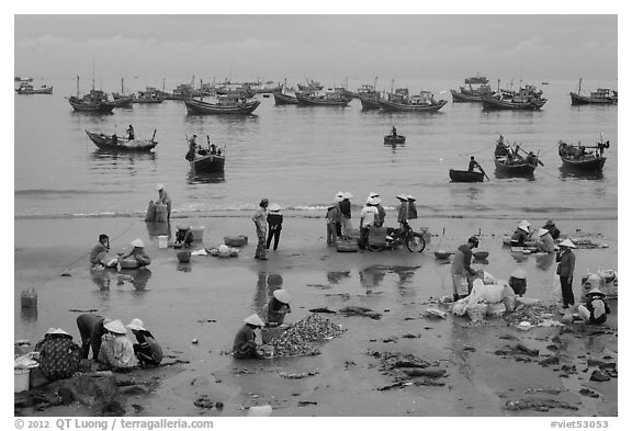 Activity on beach seen from above. Mui Ne, Vietnam (black and white)