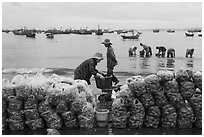 Shells packed for sale on beach, Lang Chai. Mui Ne, Vietnam ( black and white)