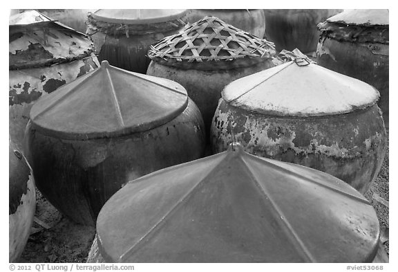 Amphorae for storage of traditional Vietnamese fish sauce Nuoc Mam. Mui Ne, Vietnam (black and white)