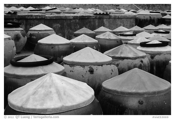Rows of fish sauce vats. Mui Ne, Vietnam (black and white)