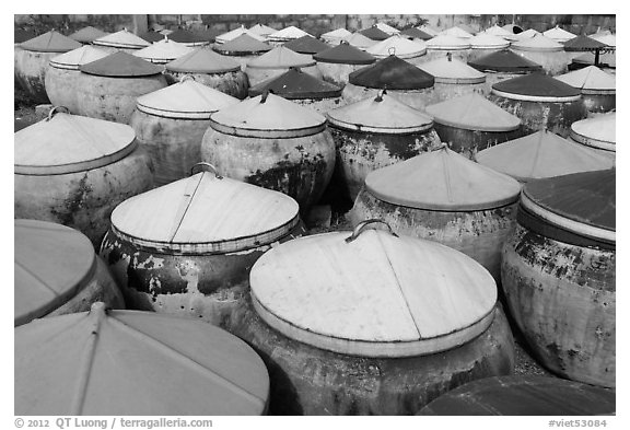 Amphorae of fish sauce. Mui Ne, Vietnam (black and white)