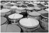 Amphorae of fish sauce. Mui Ne, Vietnam ( black and white)
