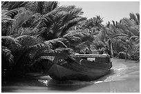 Boat navigating narrow waterway, Phoenix Island. My Tho, Vietnam (black and white)
