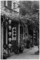 Sidewalk and houses with paper lanterns and lush vegetation. Hoi An, Vietnam ( black and white)