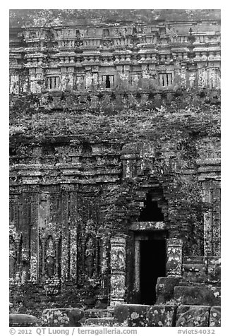 Champa tower taken over by vegetation. My Son, Vietnam (black and white)