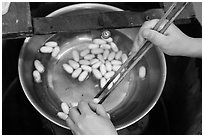 Hands handling silkworm cocoons with chopsticks. Hoi An, Vietnam (black and white)