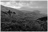 View from Hai Van pass in rainy weather, Bach Ma National Park. Vietnam ( black and white)