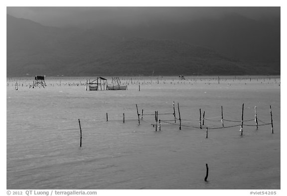 Fish traps in lagoon. Vietnam (black and white)