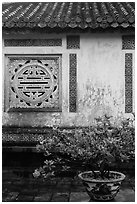 Potted plant and wall with Chinese symbol window, citadel. Hue, Vietnam ( black and white)