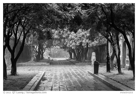 Tree-covered pathway, imperial citadel. Hue, Vietnam